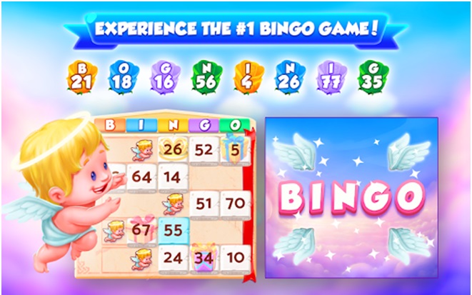 Bingo bash app
