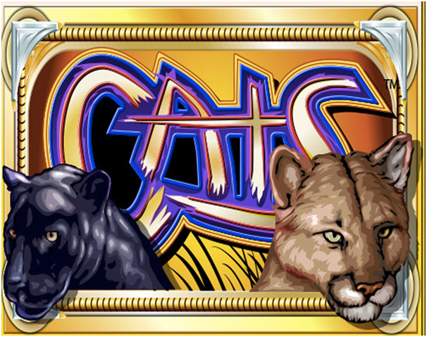 Cats