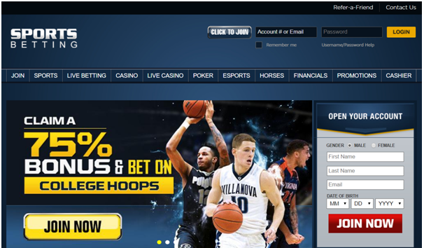 Sportsbetting -Esports casino