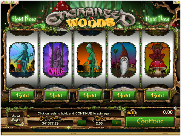 Enchanted woods