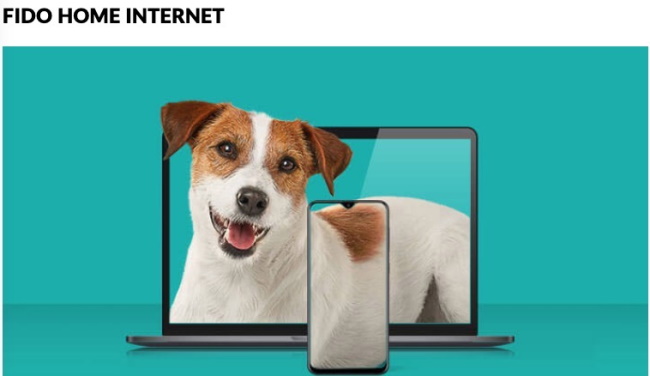 Fido Internet