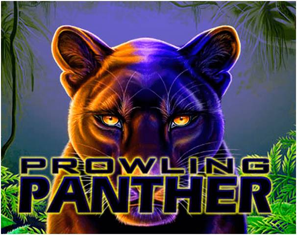 Prowling panther