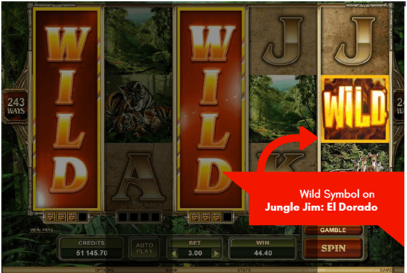 Wild symbols