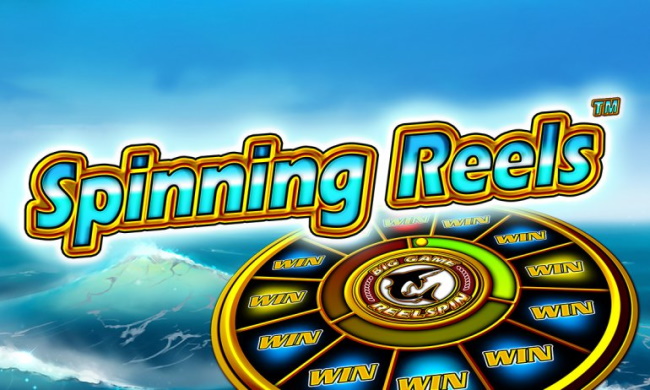 Spin Reels -17 Components of the Slot Machine.