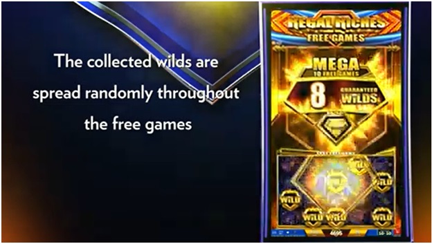The Progerssive Wilds