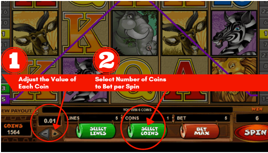 Choose bets in real money slots